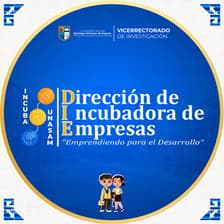 Profile picture for Incuba UNASAM