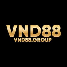 Profile picture for VND88