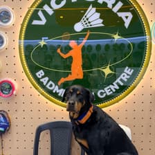 Profile picture for Victoria Badminton & Pickleball Centre