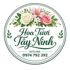 Profile picture for HOA TƯƠI TÂY NINH