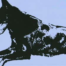 Profile picture for Shepherd Collective