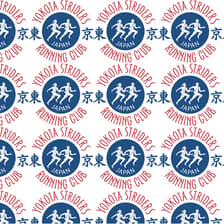 Profile picture for Yokota Striders Race Director