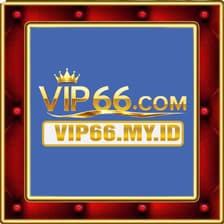 Profile picture for vip66mdq