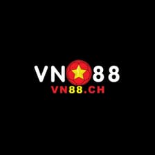 Profile picture for VN88