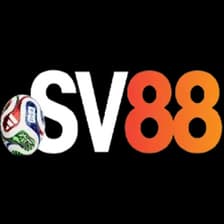 Profile picture for SV88