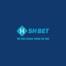 Profile picture for SHBET