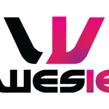Profile picture for WESIE Academy