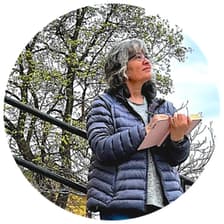 Profile picture for Ivana Eklund