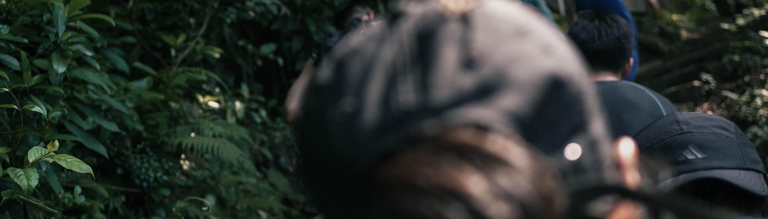 Cover Image for Calendar