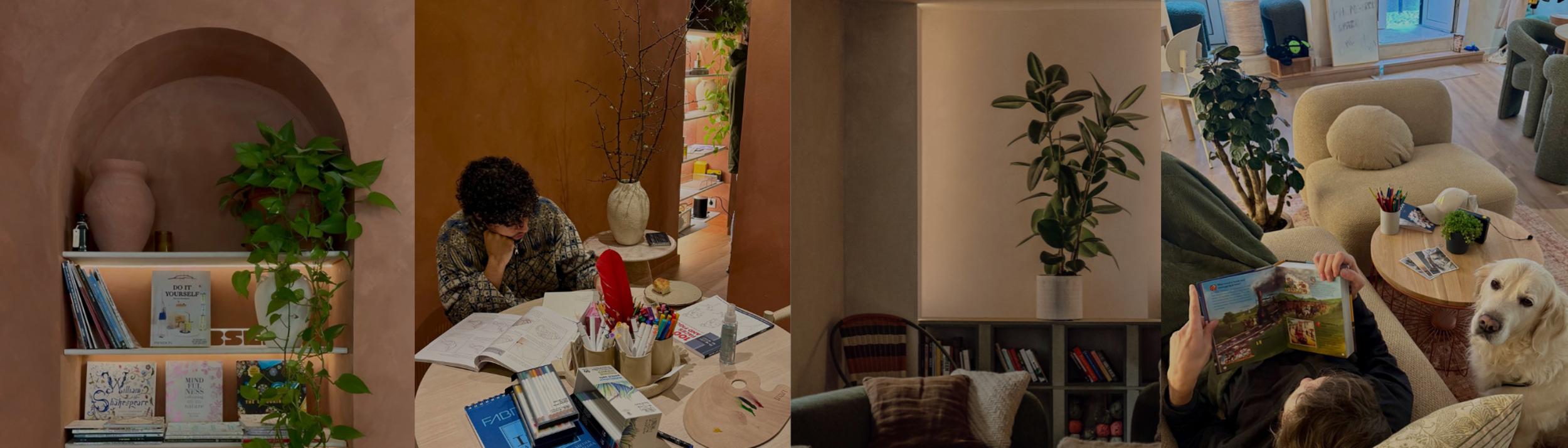 Cover Image for Calendar