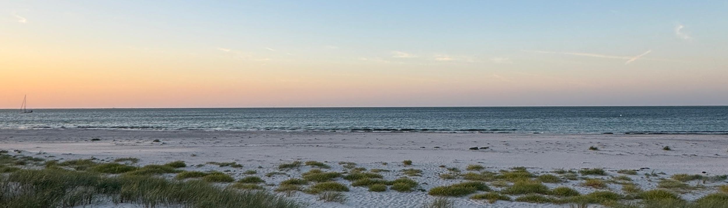 Cover Image for Calendar
