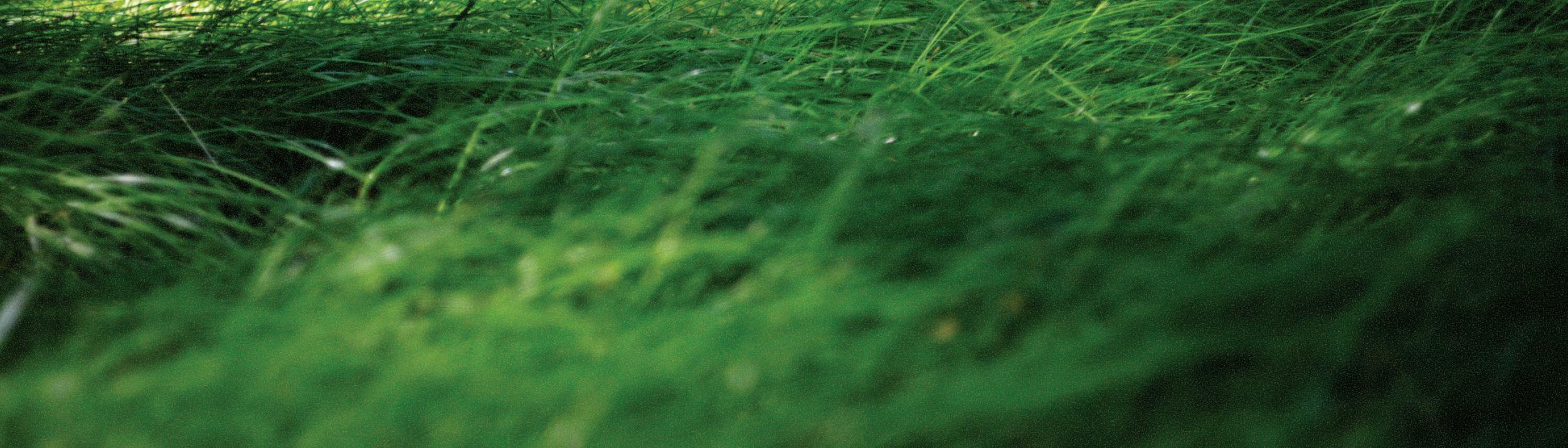 Cover Image for Calendar