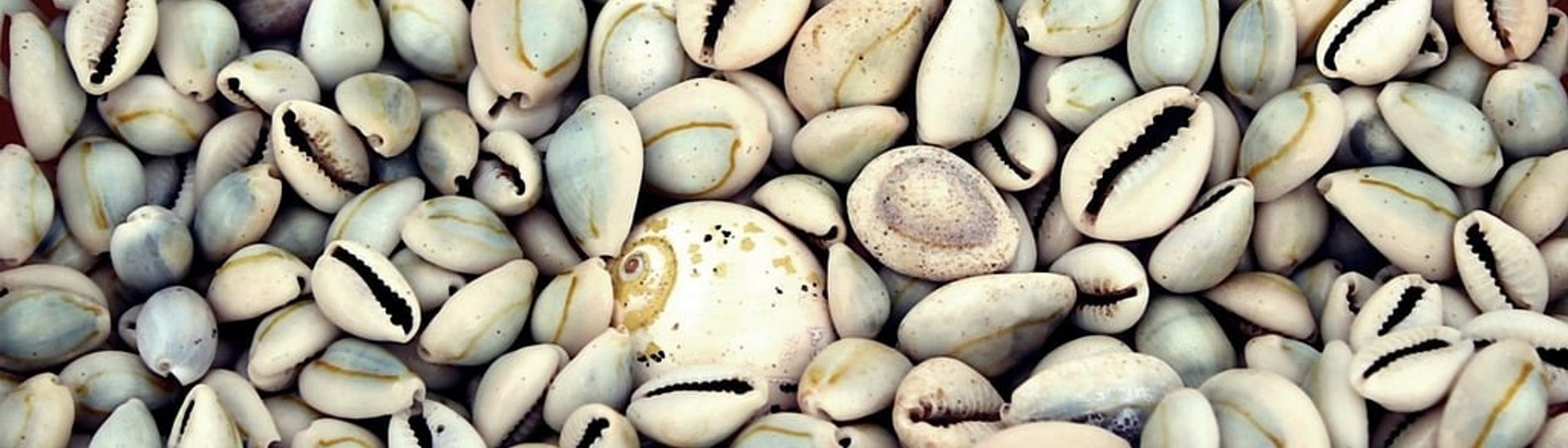 Cover Image for Calendar