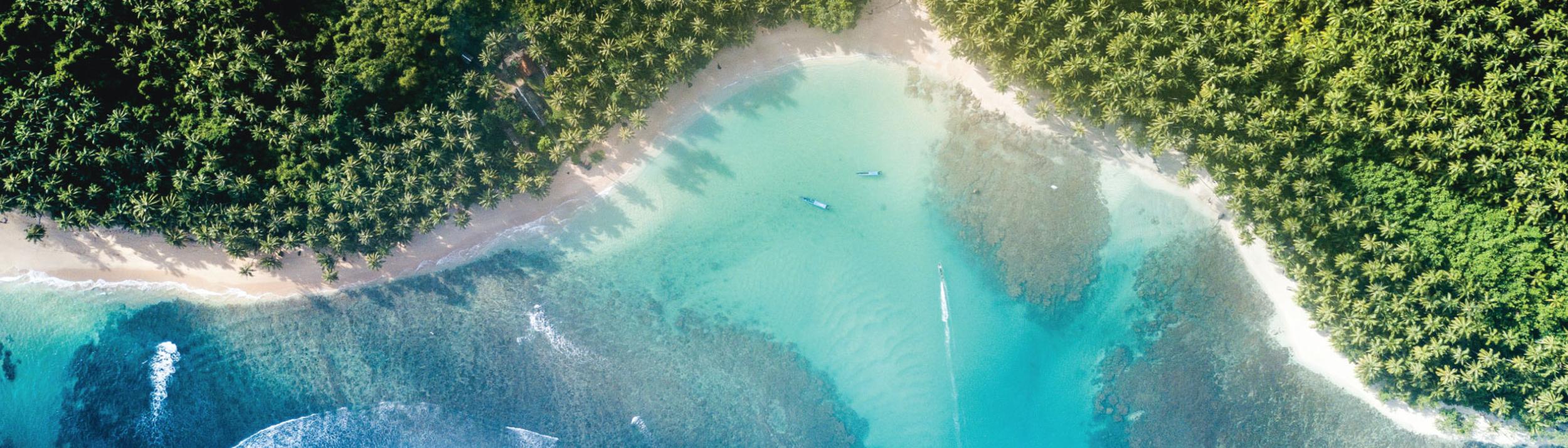 Cover Image for Calendar