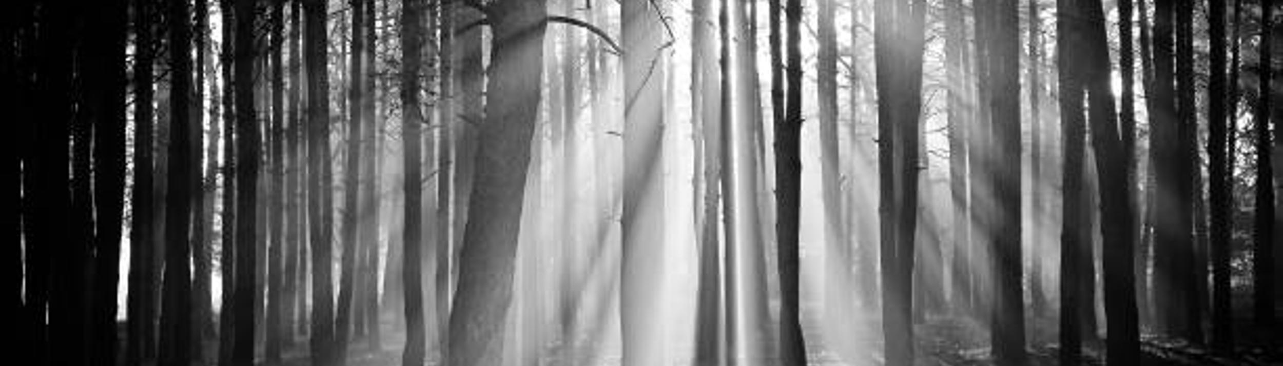 Cover Image for Calendar