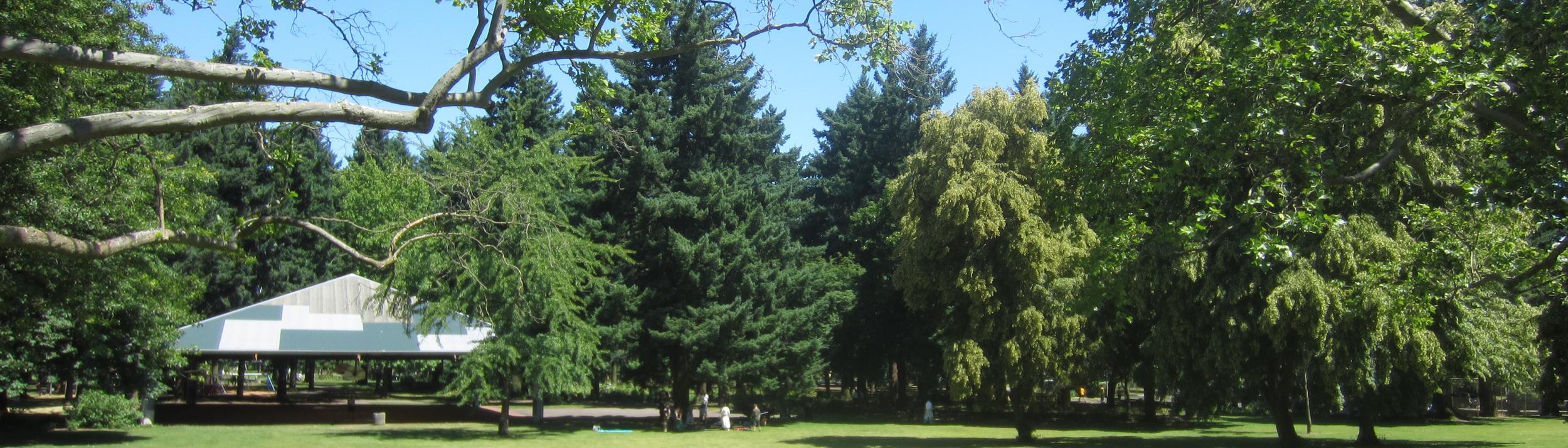 Cover Image for Calendar