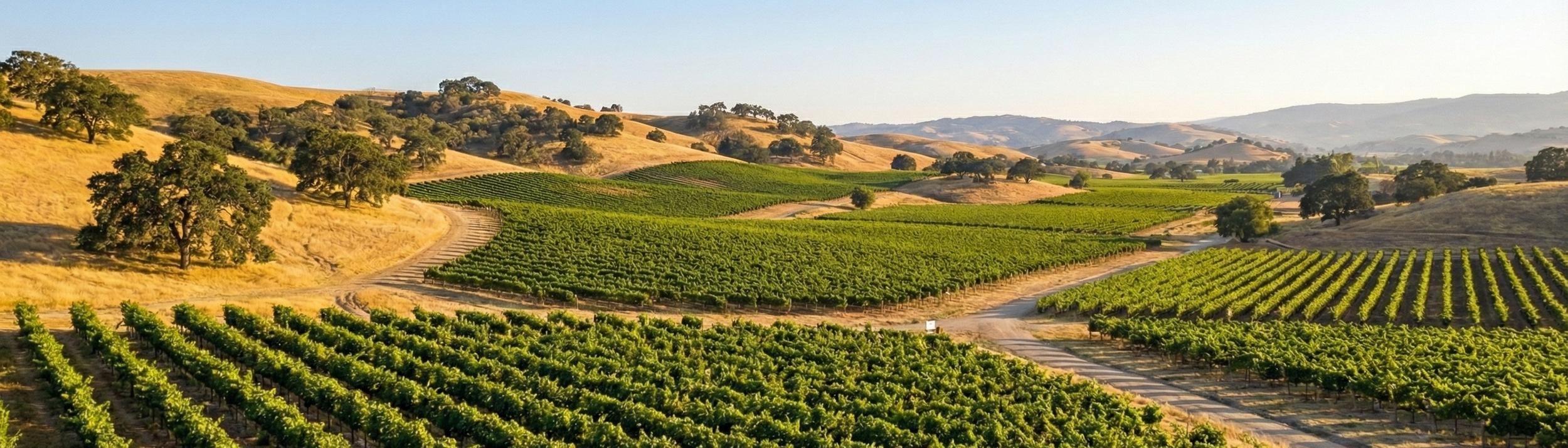 Cover Image for Calendar