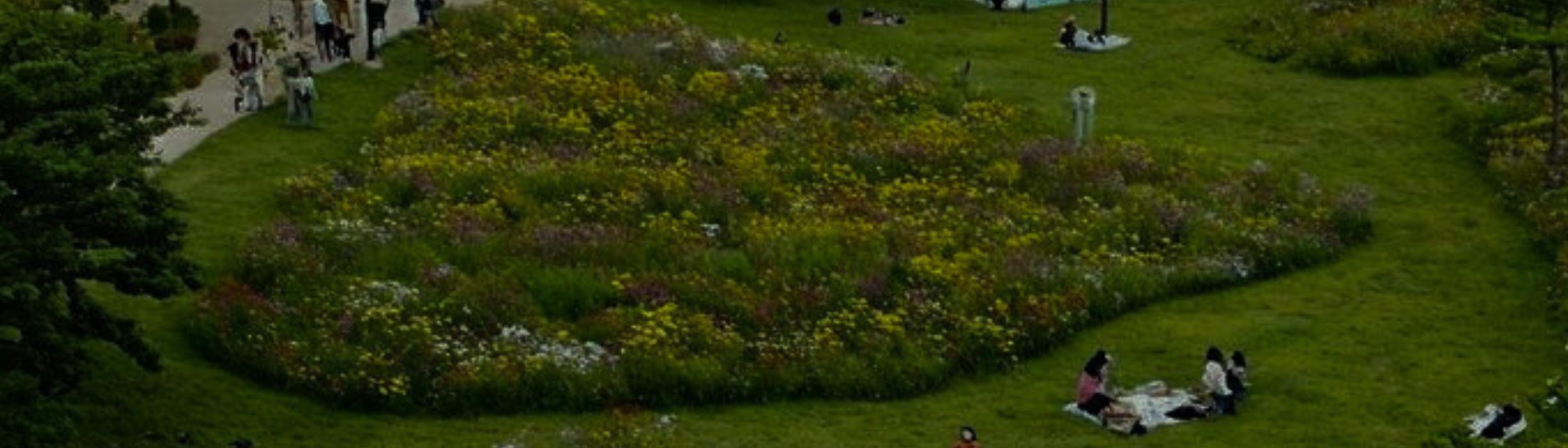 Cover Image for Calendar