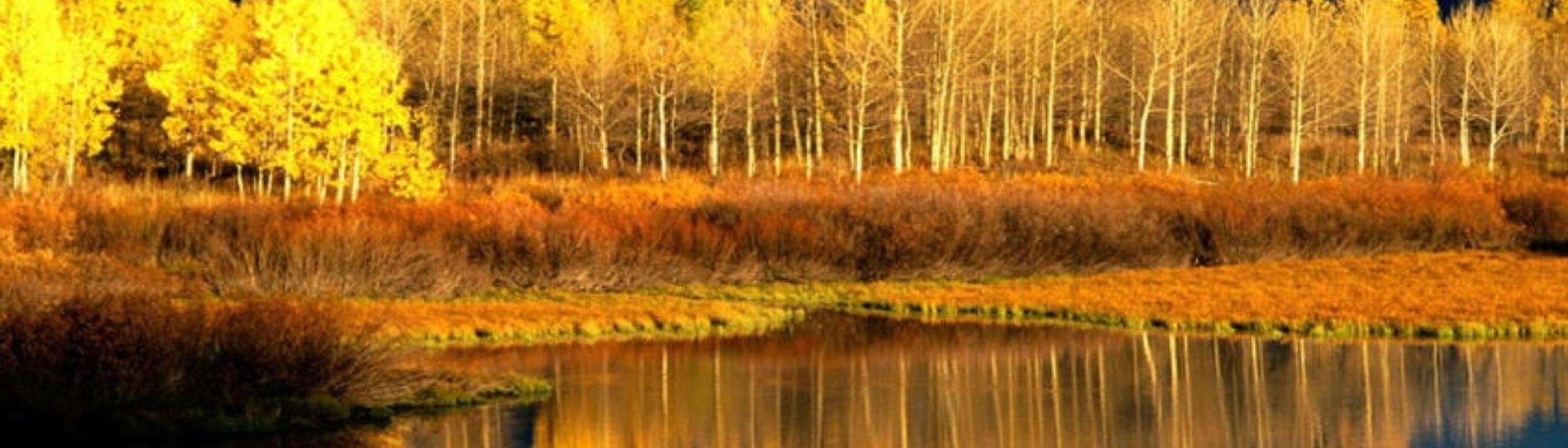 Cover Image for Calendar