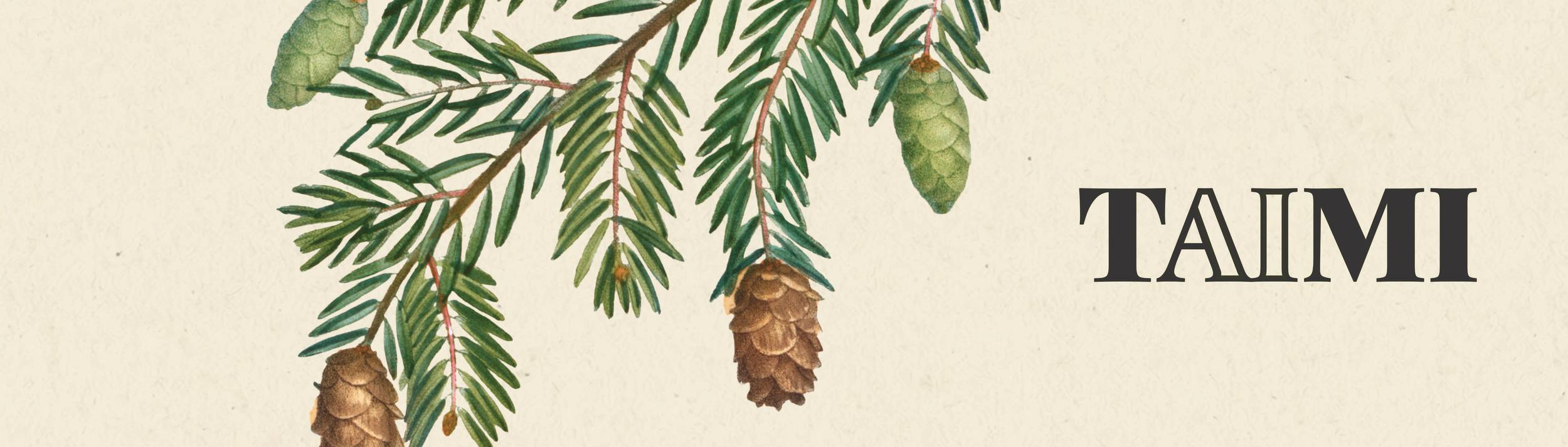 Cover Image for Calendar