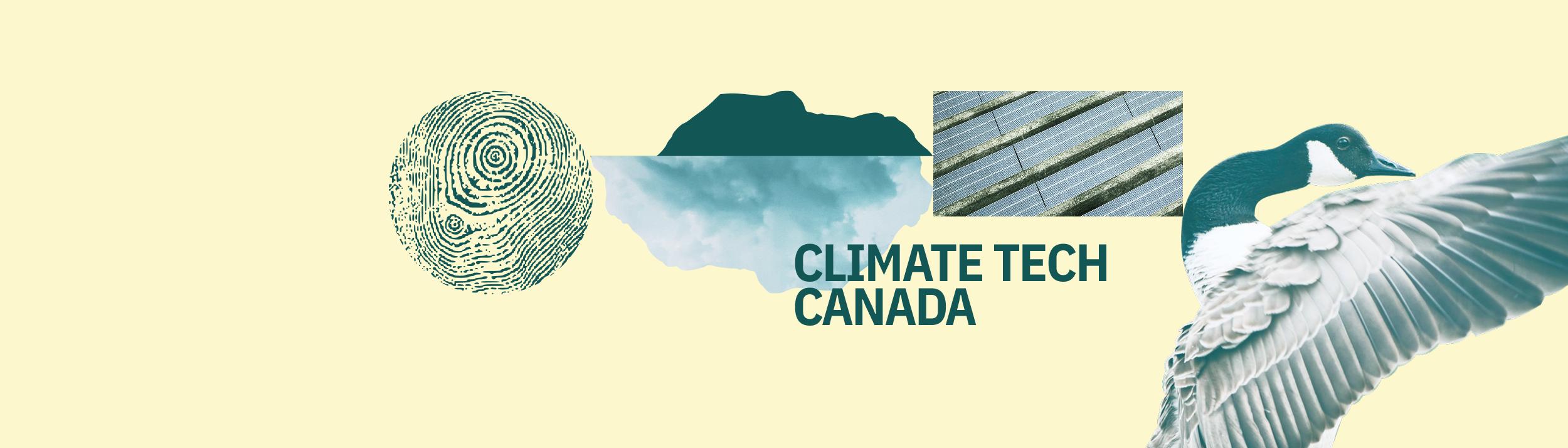 Cover Image for Calendar