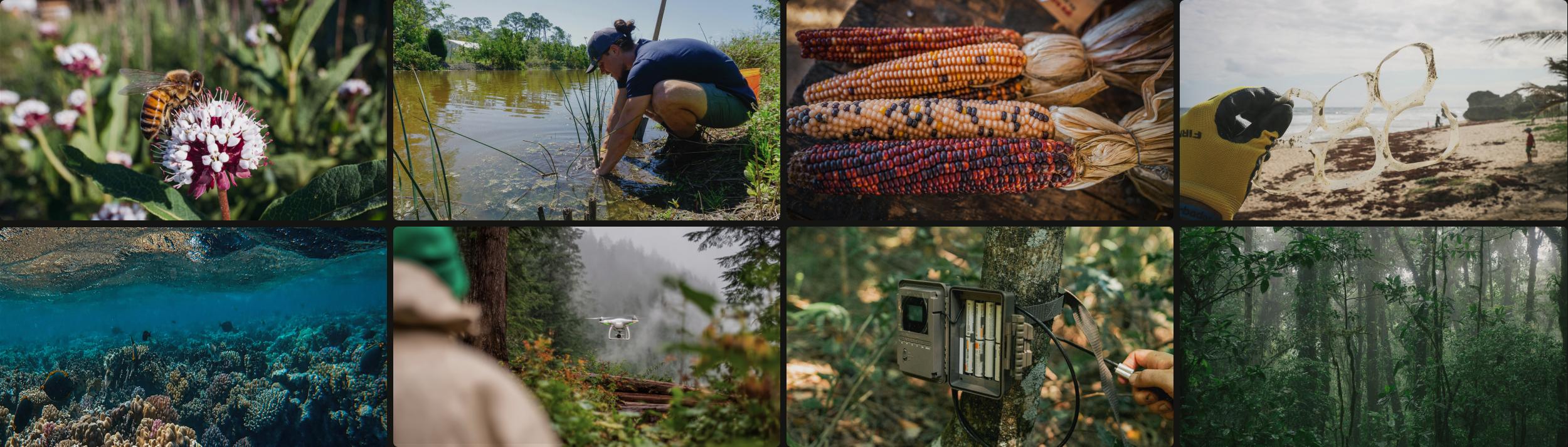 Cover Image for Calendar