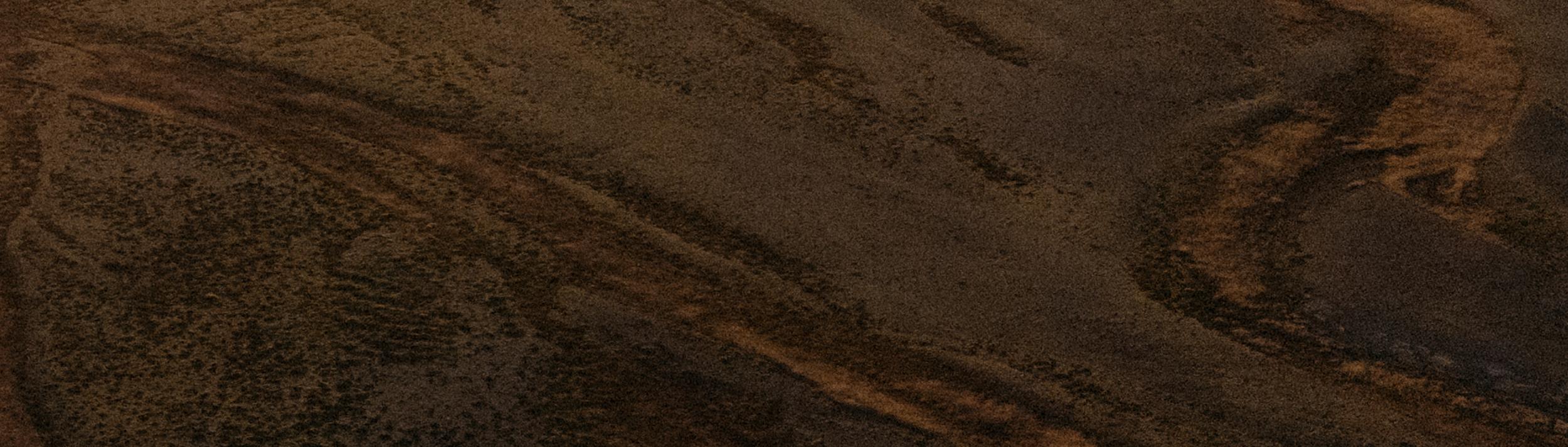 Cover Image for Calendar