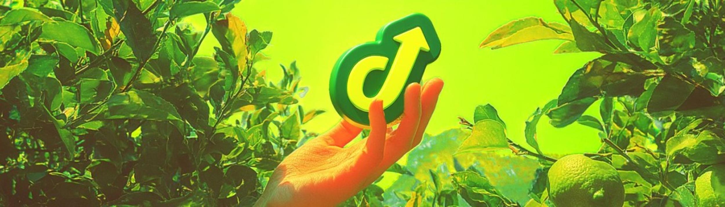 Cover Image for Calendar