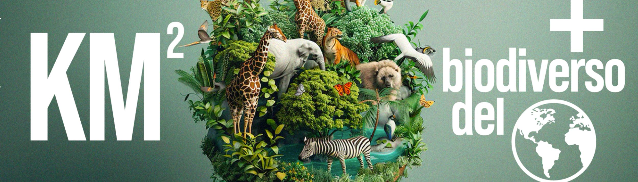 Cover Image for Calendar