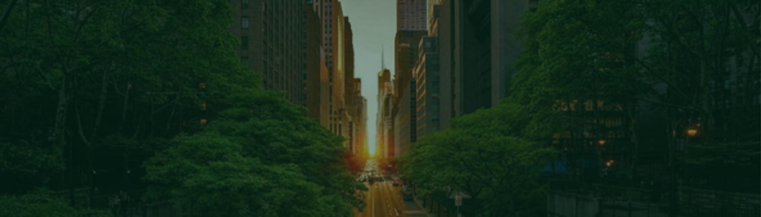 Cover Image for Calendar