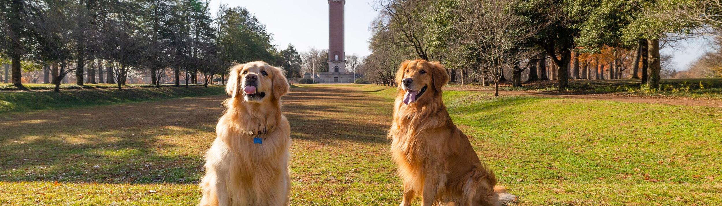 Cover Image for Calendar