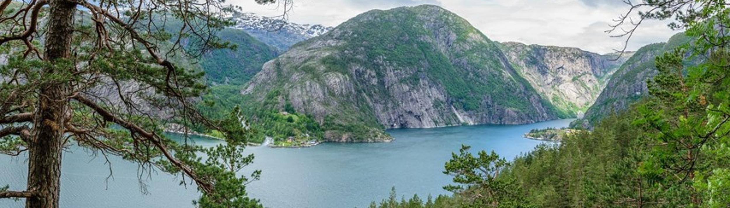 Cover Image for Calendar