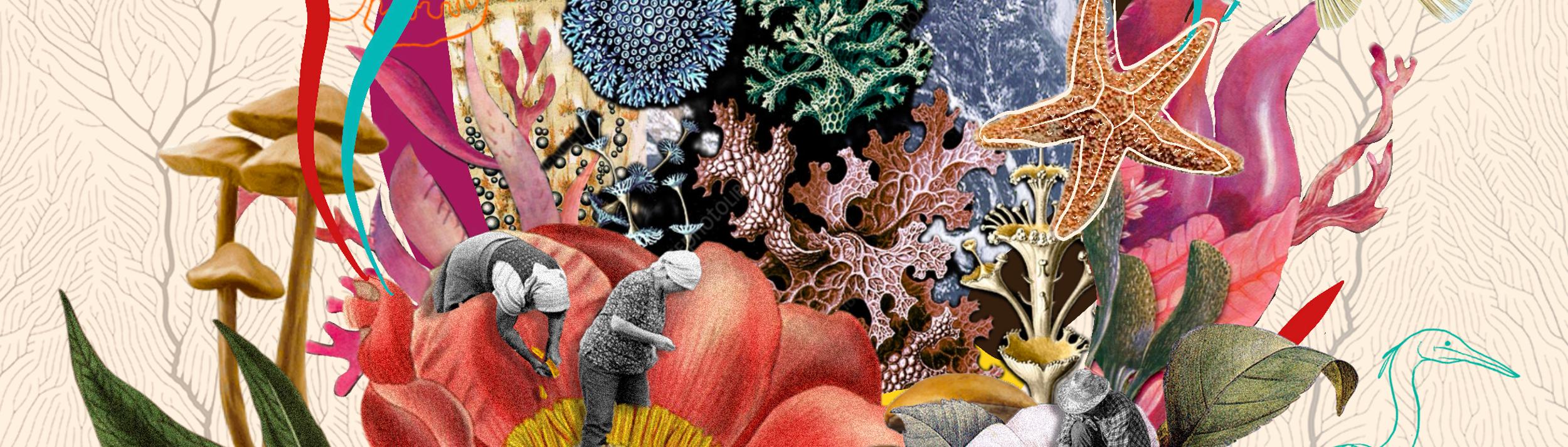 Cover Image for Calendar