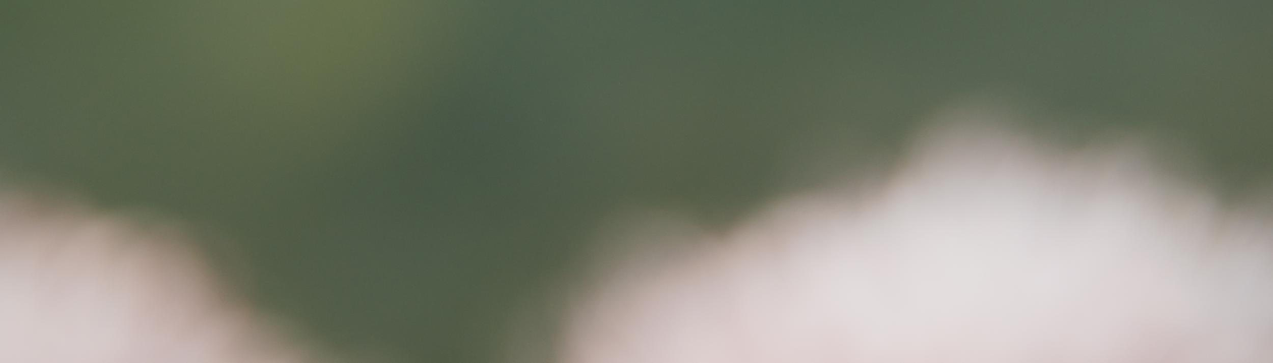 Cover Image for Calendar