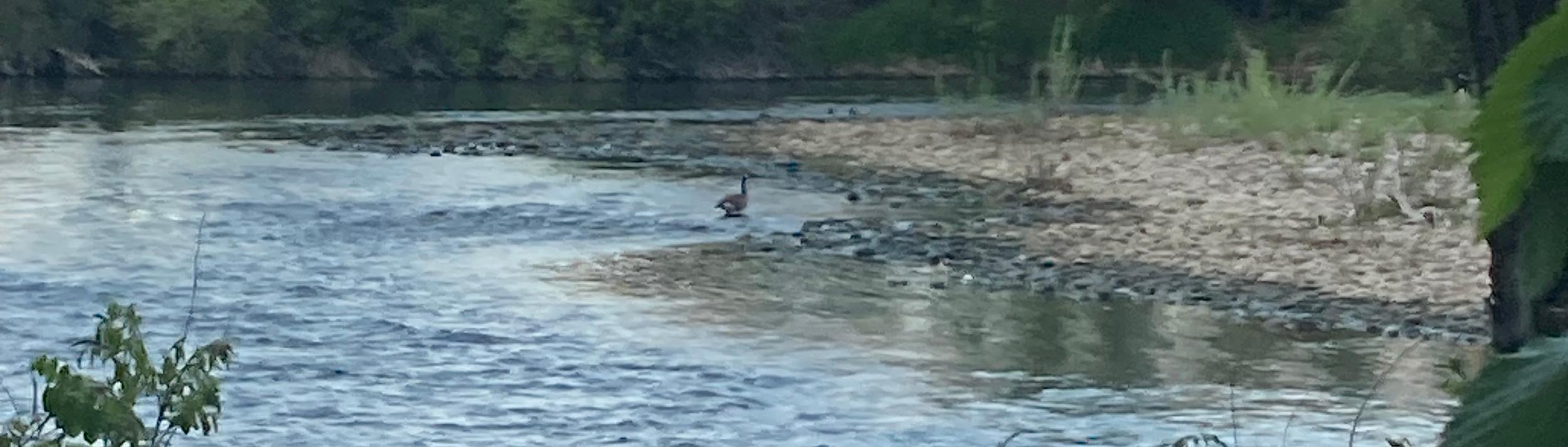 Cover Image for Calendar