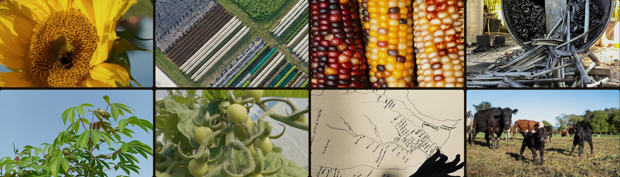 Cover Image for Calendar