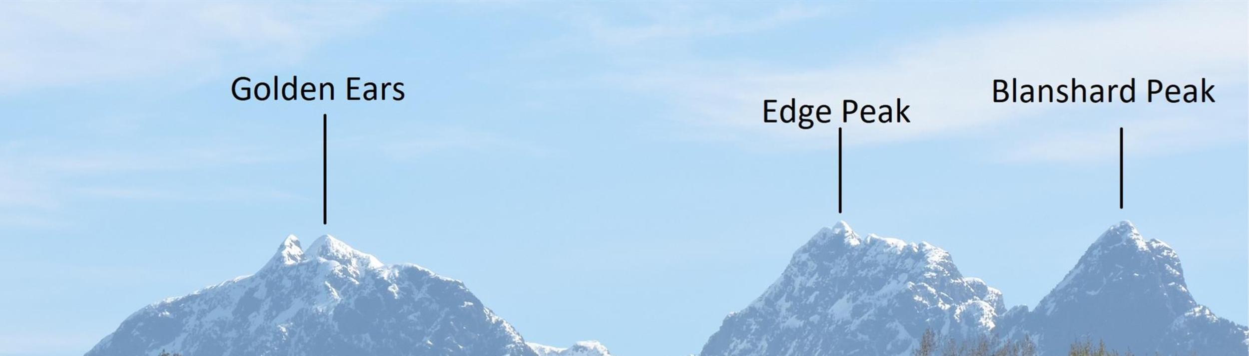 Cover Image for Calendar