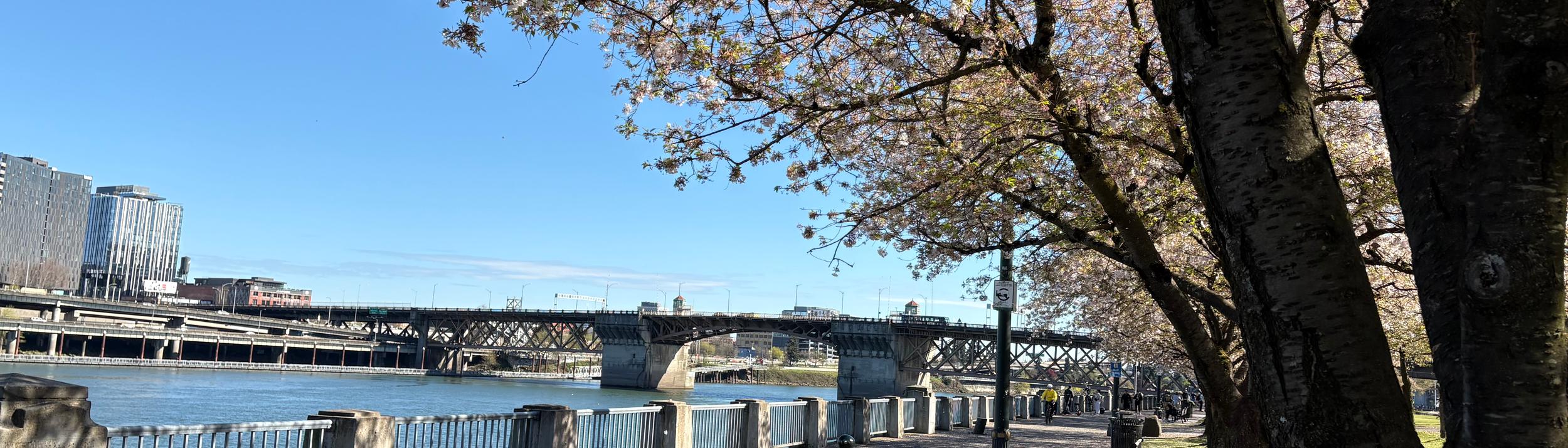 Cover Image for Calendar