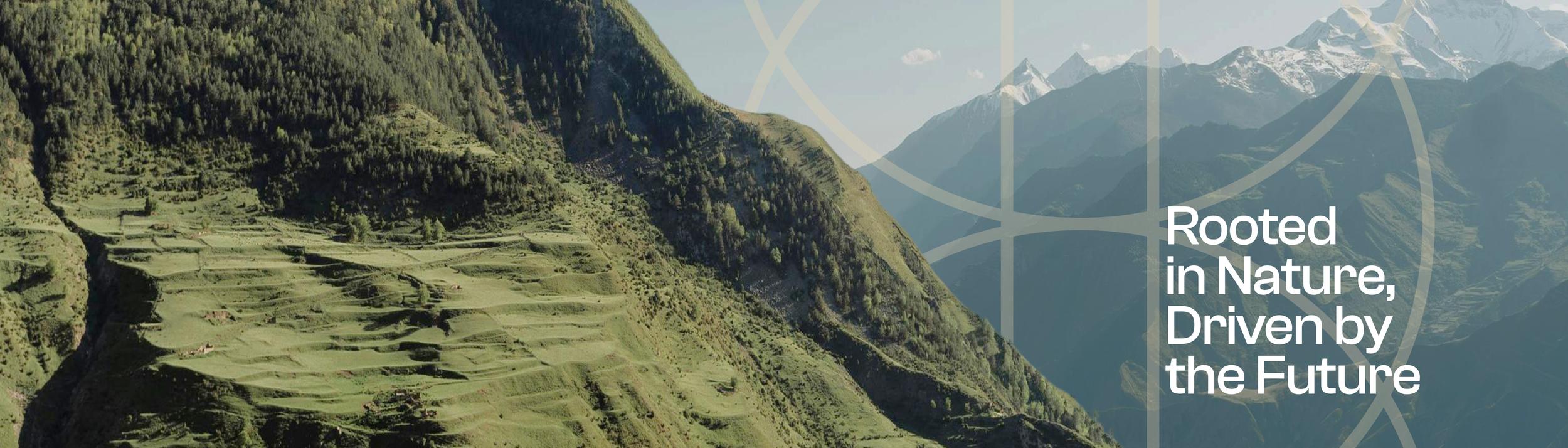 Cover Image for Calendar