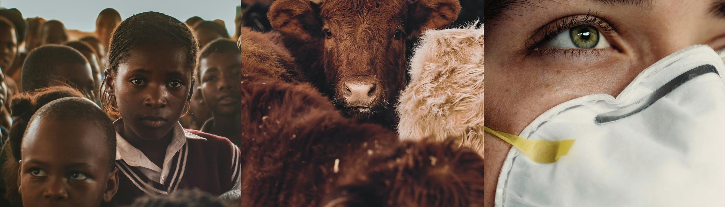 Cover Image for Calendar