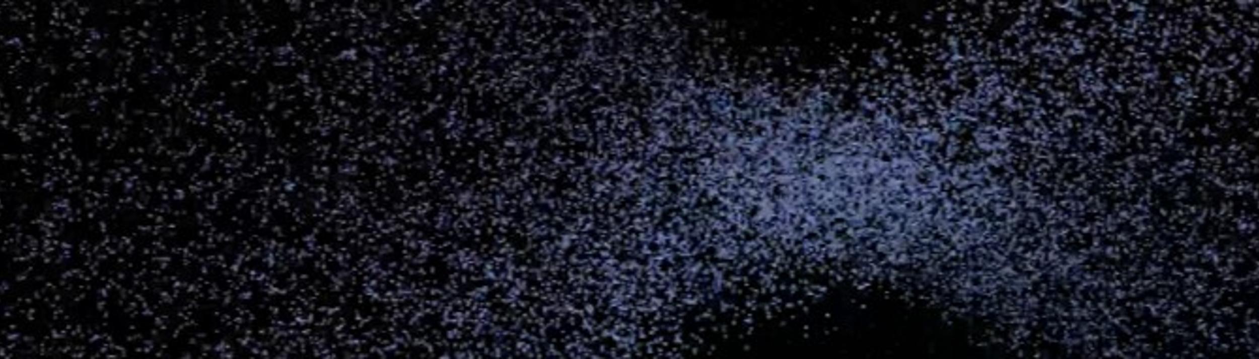 Cover Image for Calendar