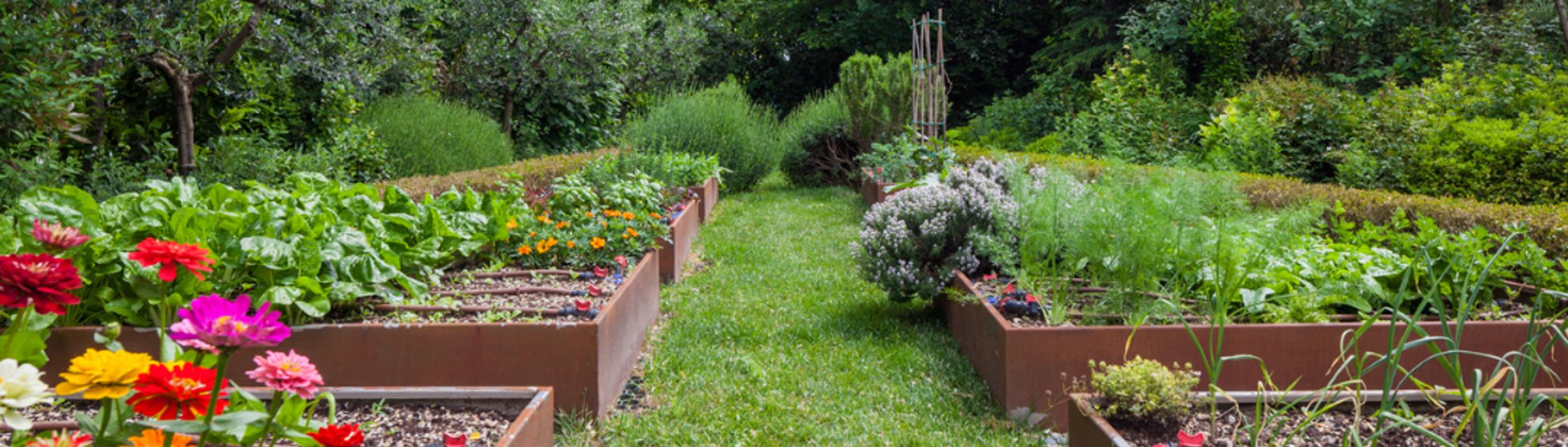 Cover Image for Calendar