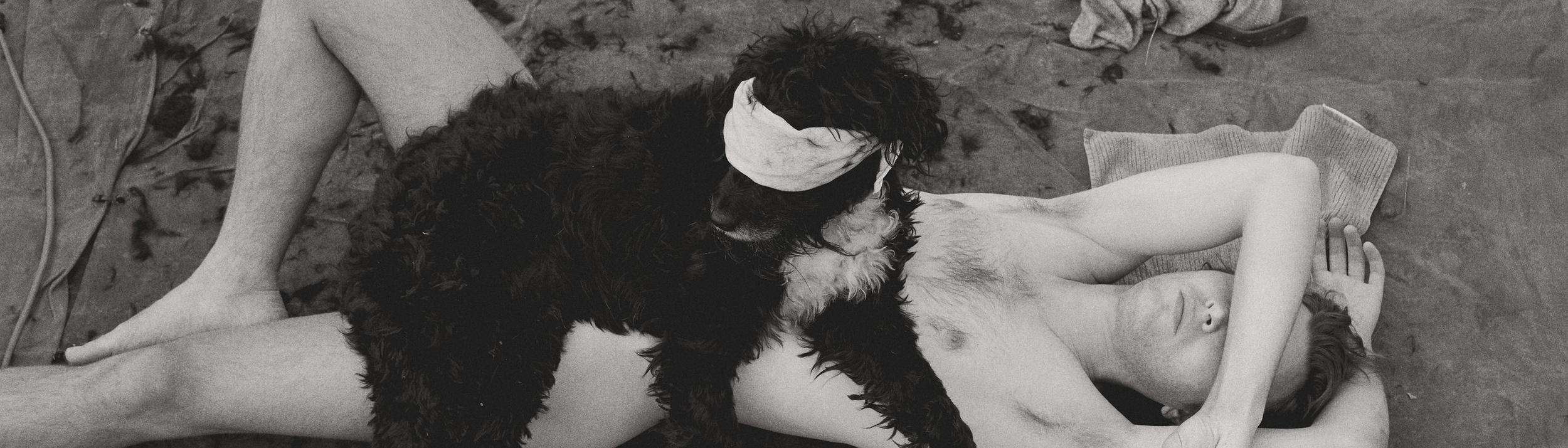 Cover Image for Calendar