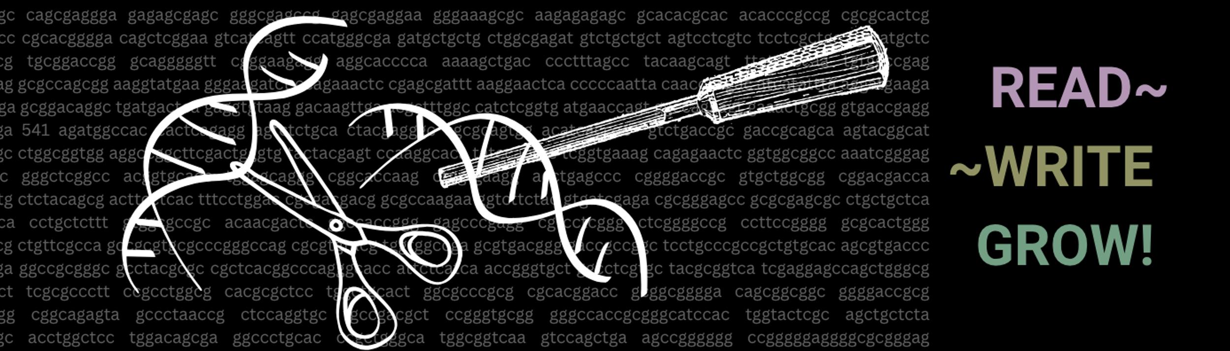 Cover Image for Calendar