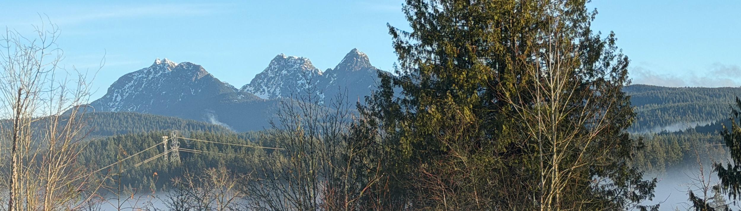 Cover Image for Calendar