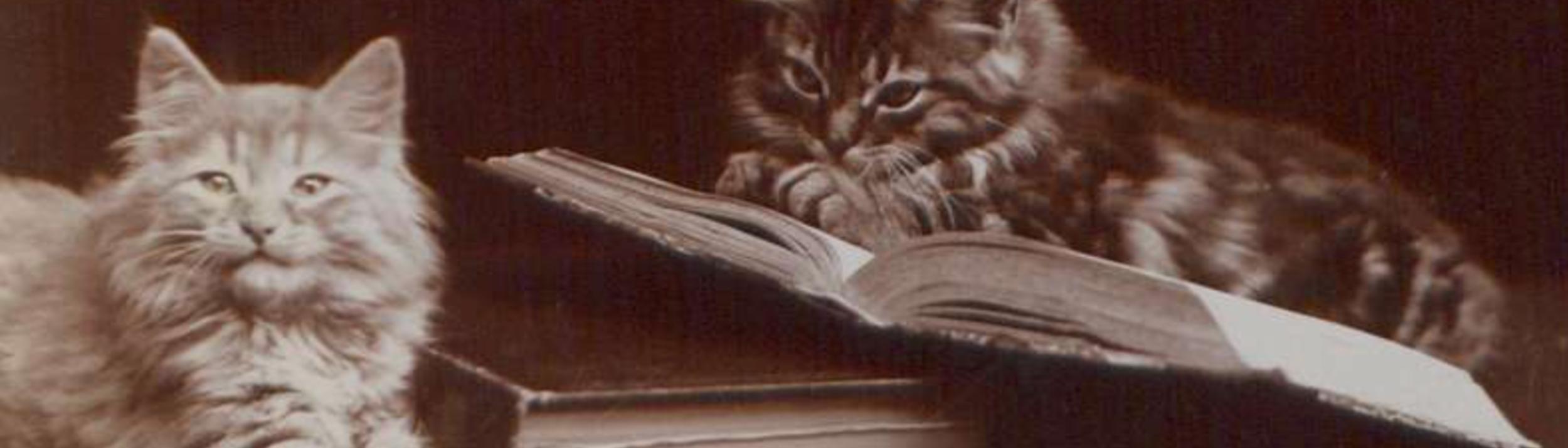 Cover Image for Calendar