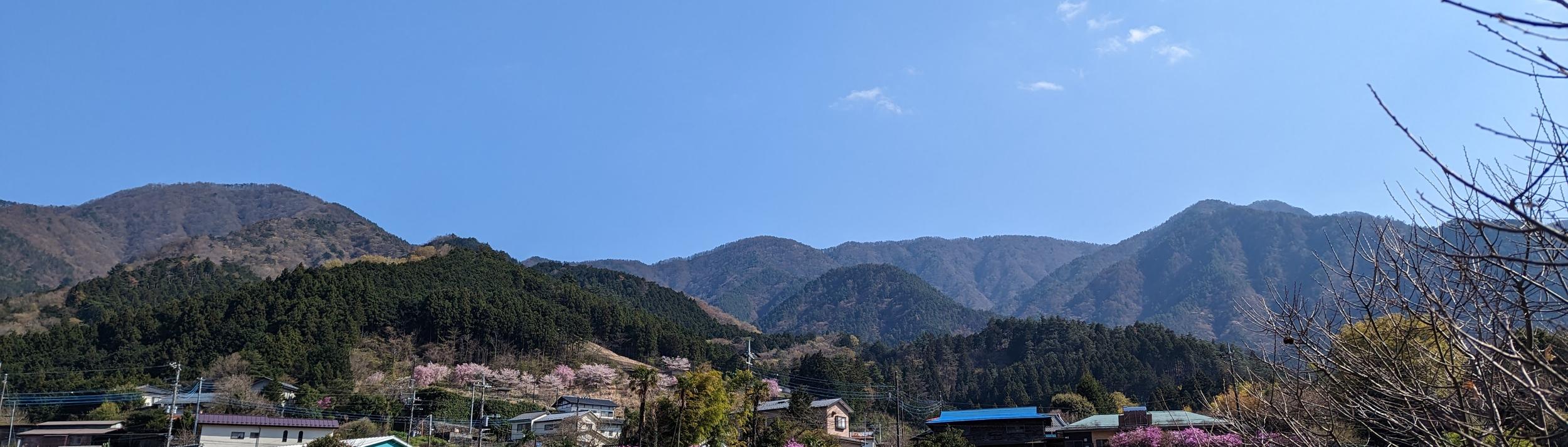 Cover Image for Calendar