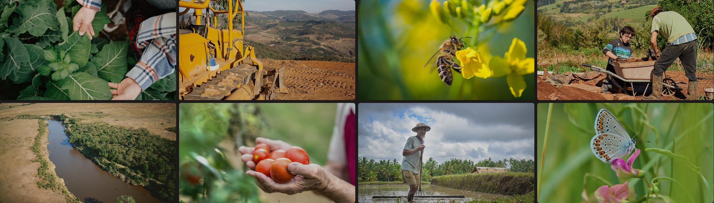 Cover Image for Calendar