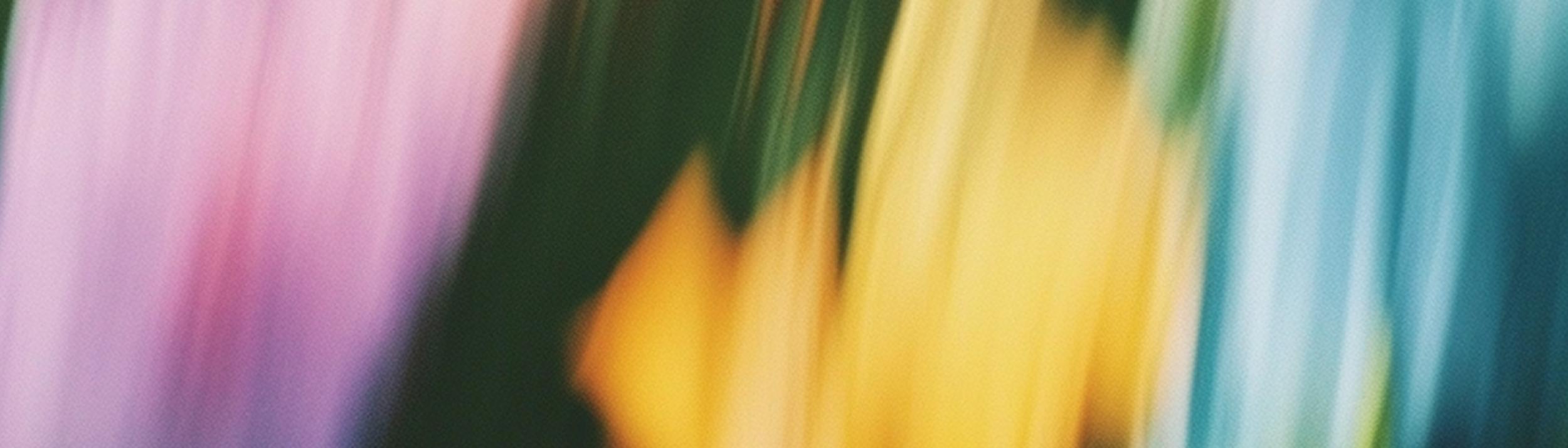 Cover Image for Calendar