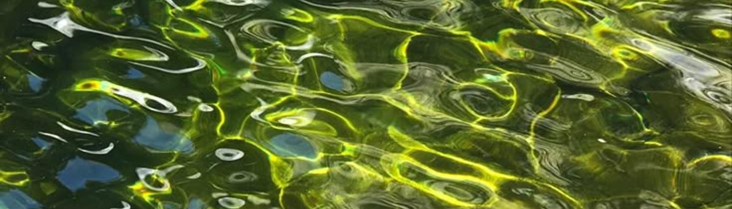 Cover Image for Calendar